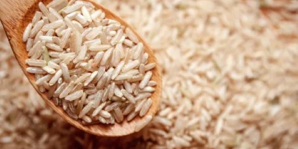 تصویر 2 از خرید و قیمت برنج قهوه ای کامفیروز + فروش عمده